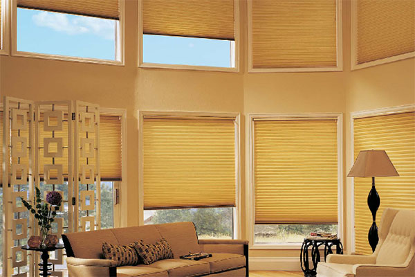 蜂巢簾圖片3 蜂巢簾圖片3